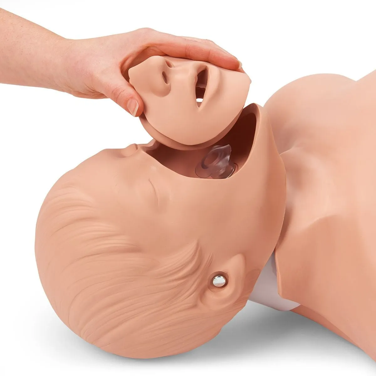 Brad Adult CPR Manikin