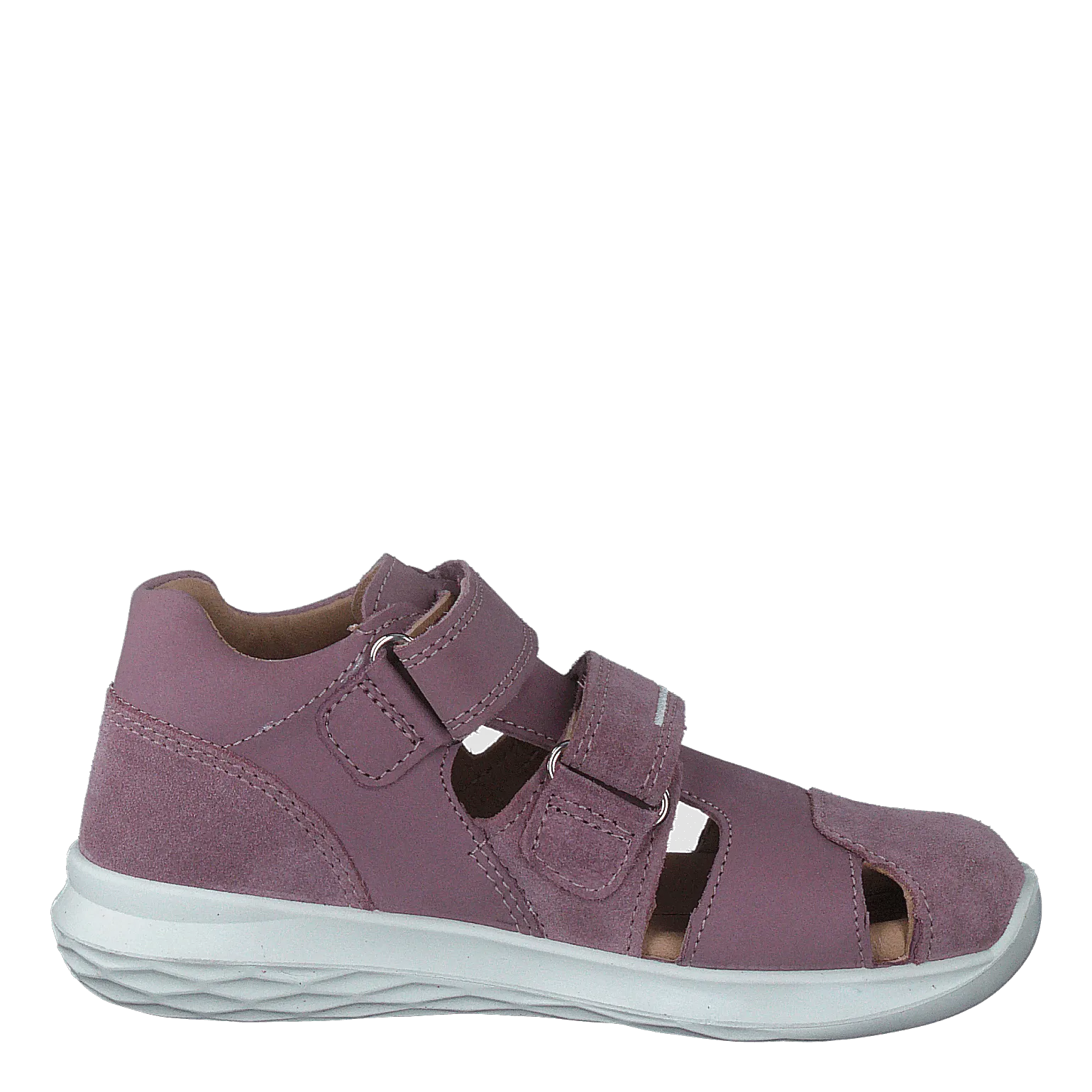 Bumblebee Purple
