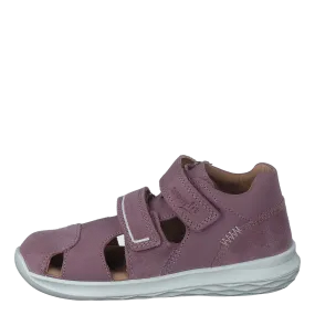 Bumblebee Purple