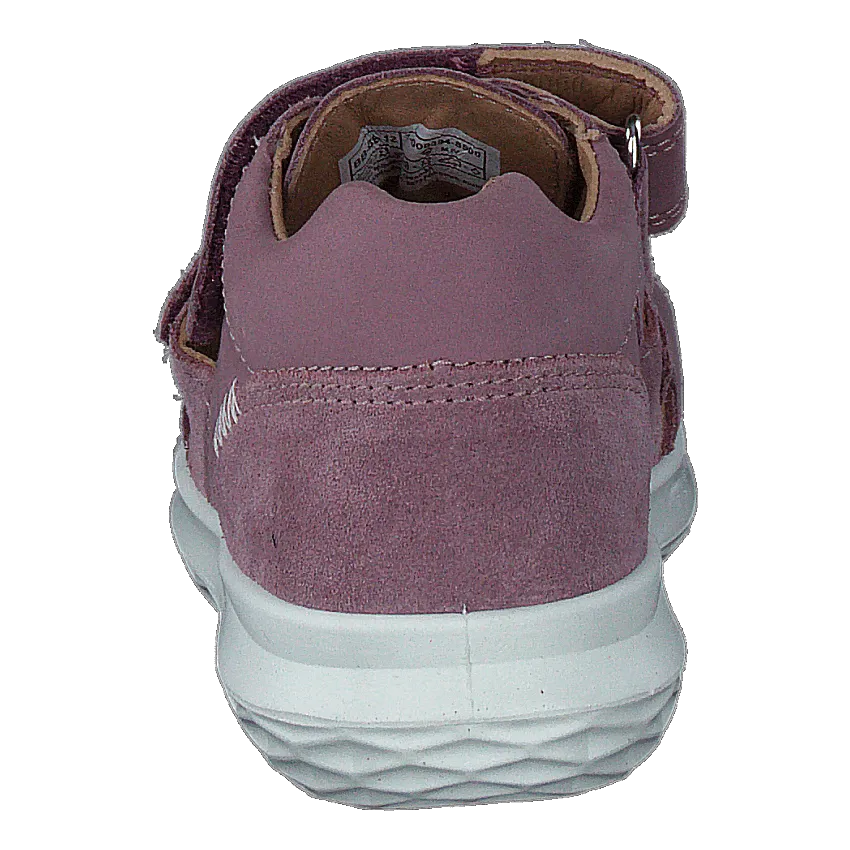 Bumblebee Purple