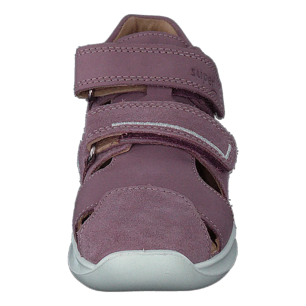 Bumblebee Purple