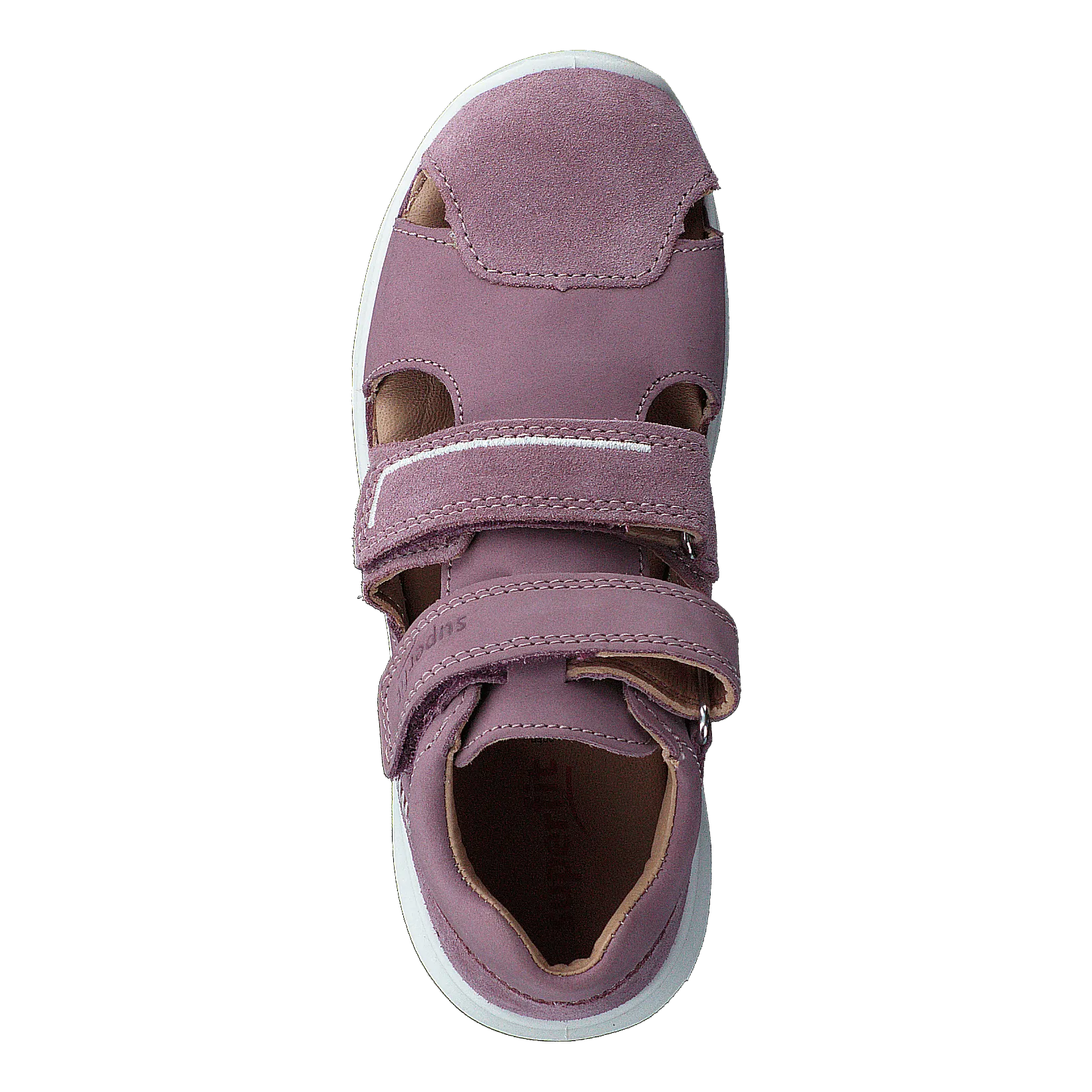 Bumblebee Purple