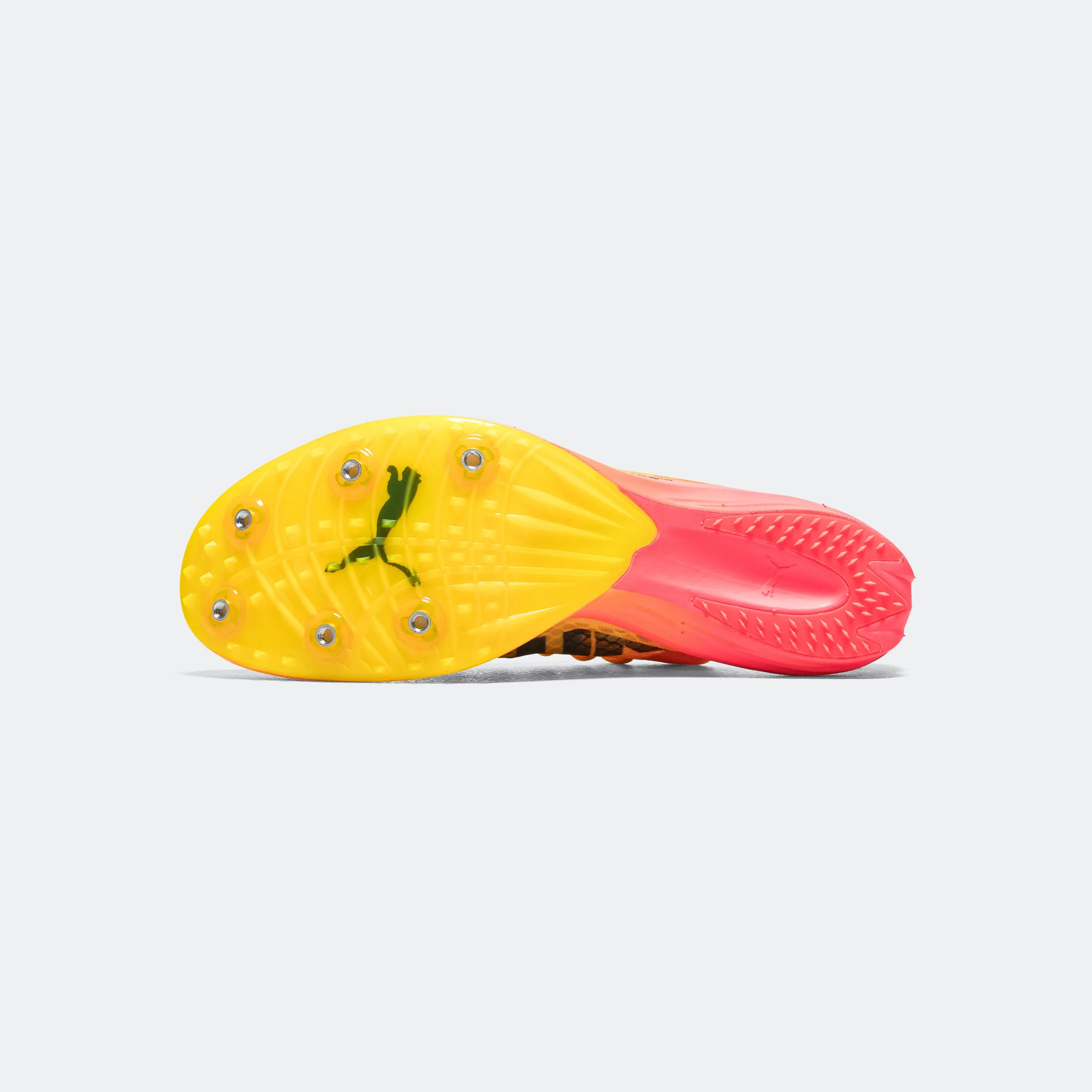 evoSPEED Distance NITRO Elite  4 - Sun Stream