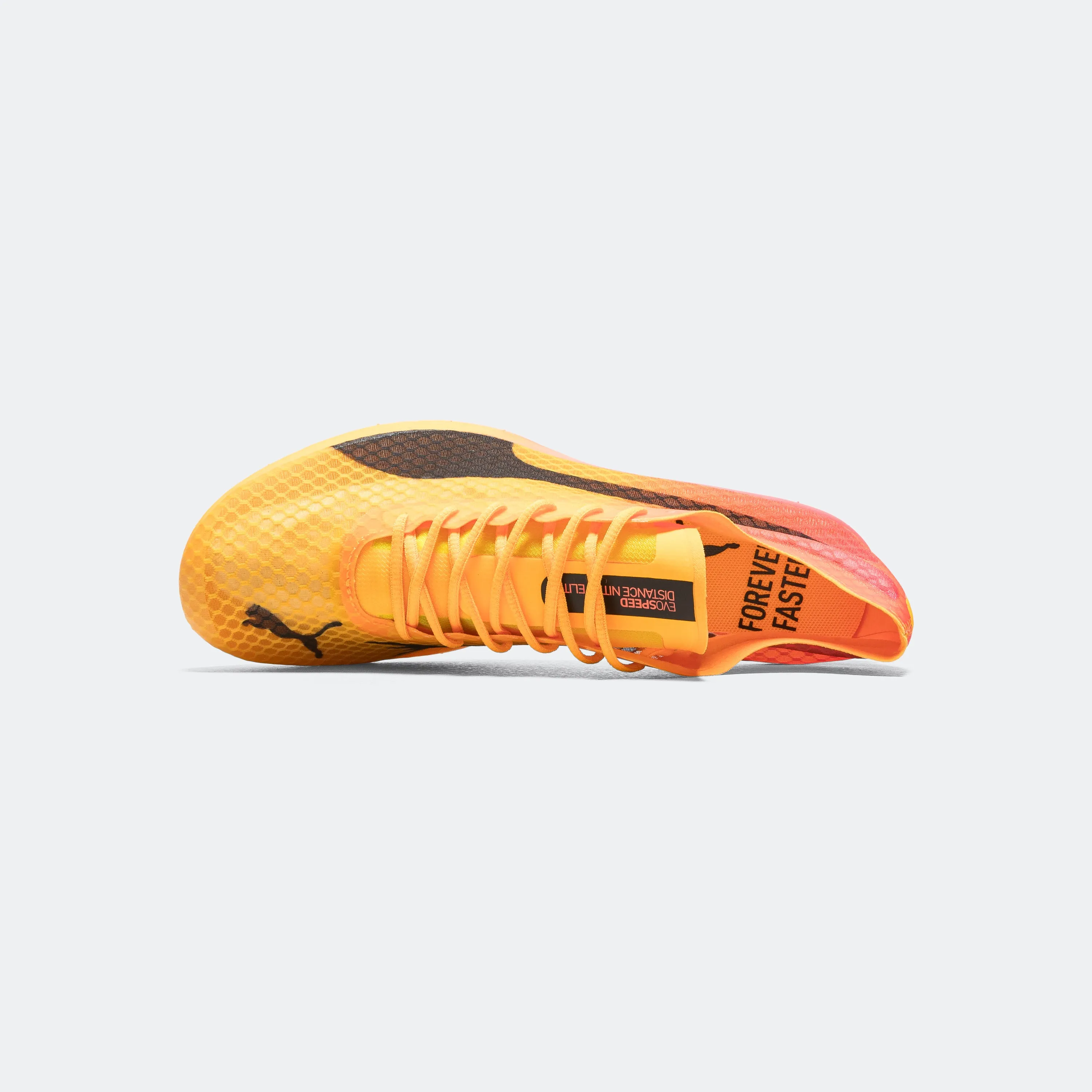 evoSPEED Distance NITRO Elite  4 - Sun Stream