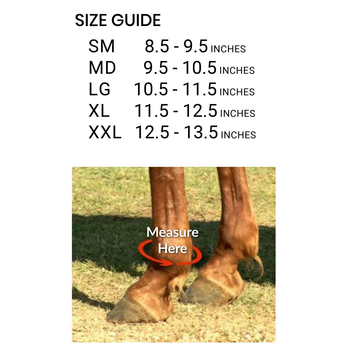 Iconoclast Orthopedic Support Hind Boot Pair