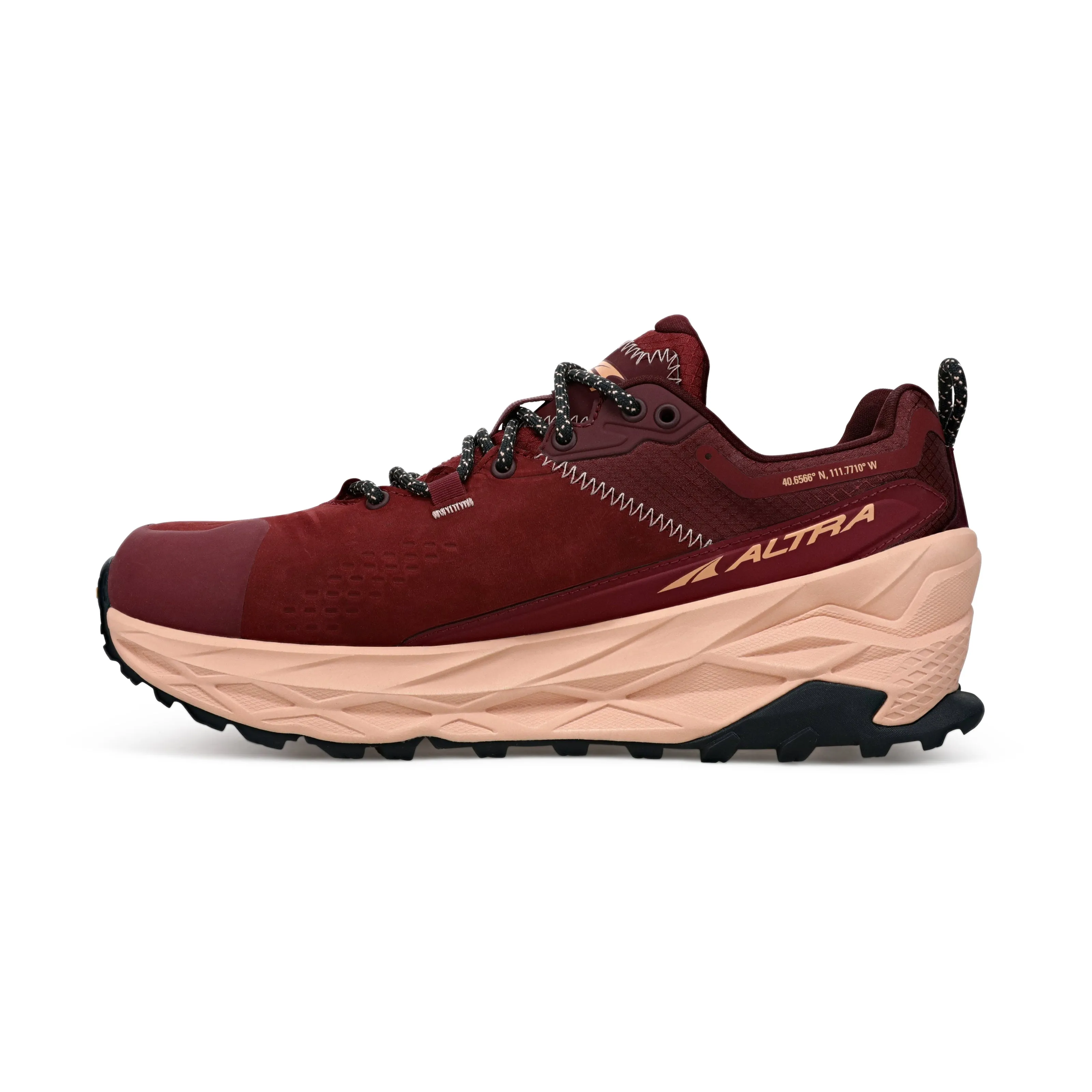 Men's Olympus 5 Hike Low GTX